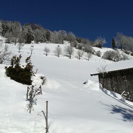 Biobergbauernhof Bergzeit Apartment In กอลด์เอก ภายนอก รูปภาพ