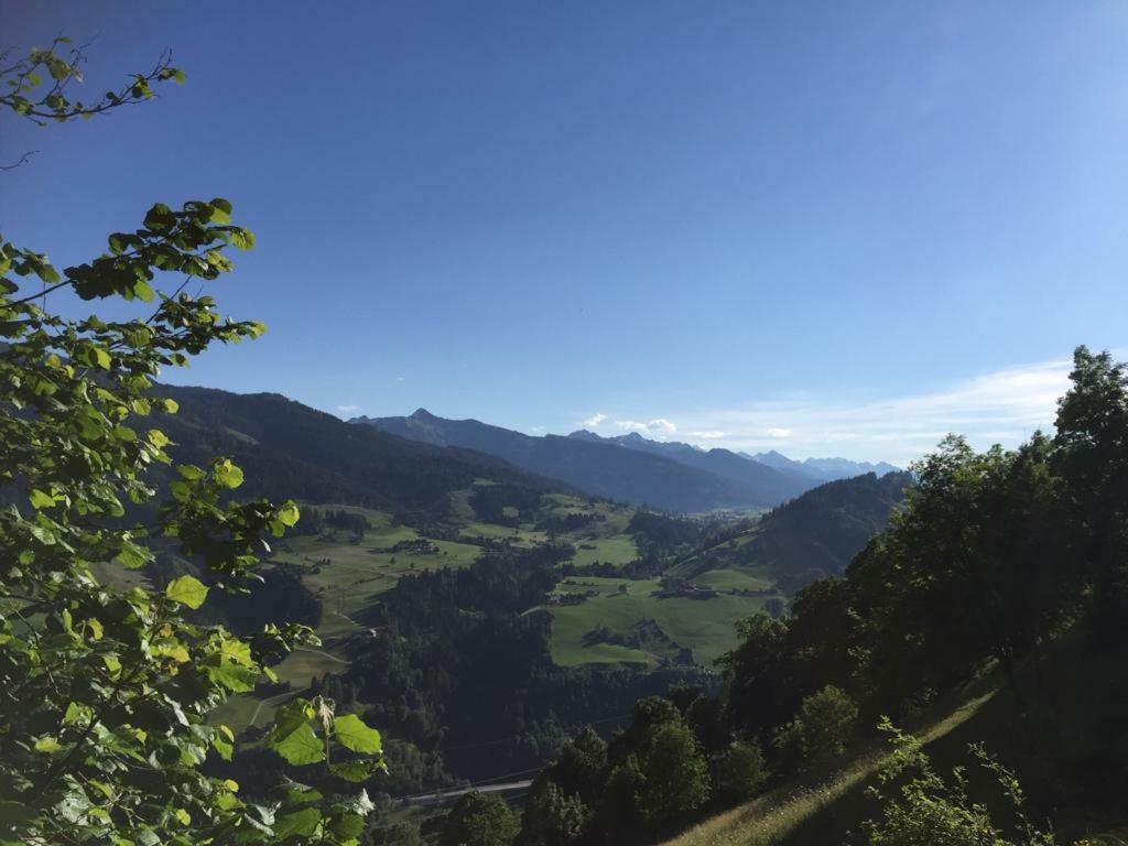Biobergbauernhof Bergzeit Apartment In กอลด์เอก ภายนอก รูปภาพ